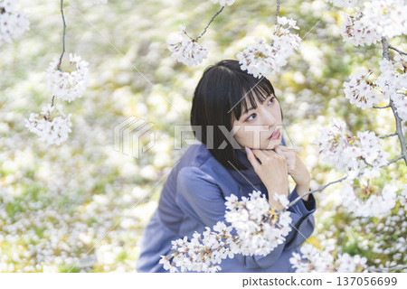 看著櫻花的年輕女子 看著櫻花的年輕女子 137056699