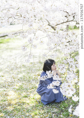 看著櫻花的年輕女子 看著櫻花的年輕女子 137056707