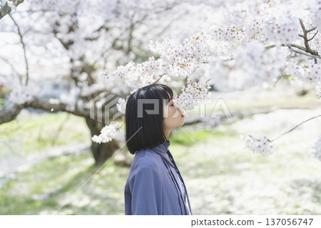看著櫻花的年輕女子 137056747