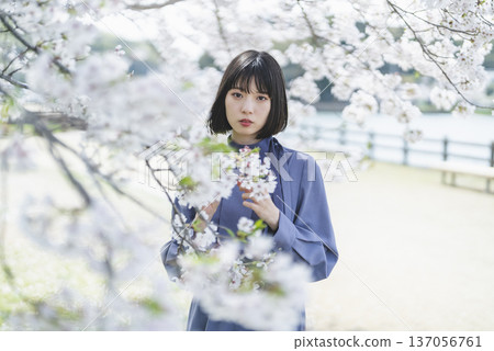 看著櫻花的年輕女子 137056761