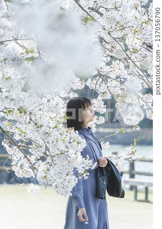 一個女人看著櫻花 一個女人看著櫻花 137056790