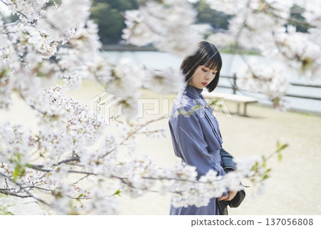 一個女人看著櫻花 137056808