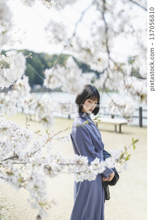 一個女人看著櫻花 137056810