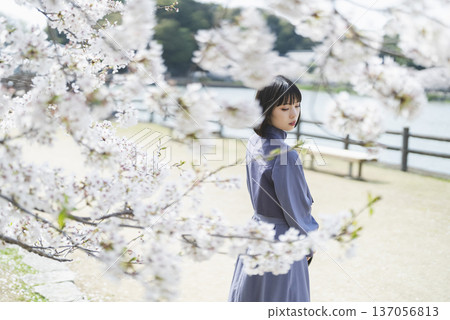 A woman looking at the cherry blossoms A woman looking at the cherry blossoms 137056813