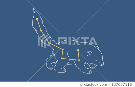 Ursa Minor (a picture of a little bear and gold constellation lines) on a navy background 137057118
