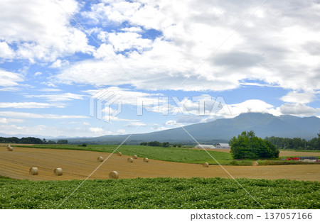 清裡町高陽的鄉村景色 清裡町高陽的鄉村景色 137057166