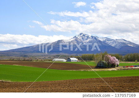 清裡町高陽的鄉村景色 清裡町高陽的鄉村景色 137057169