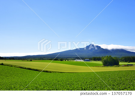 清裡町高陽的鄉村景色 清裡町高陽的鄉村景色 137057170