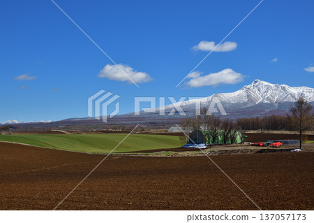 清裡町高陽的鄉村景色 清裡町高陽的鄉村景色 137057173