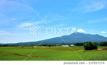 Rural scenery in Koyo, Kiyosato Town Rural scenery in Koyo, Kiyosato Town 137057174