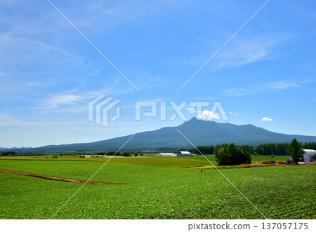 Rural scenery in Koyo, Kiyosato Town Rural scenery in Koyo, Kiyosato Town 137057175