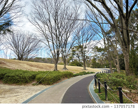 藍天和公園長廊 137057178