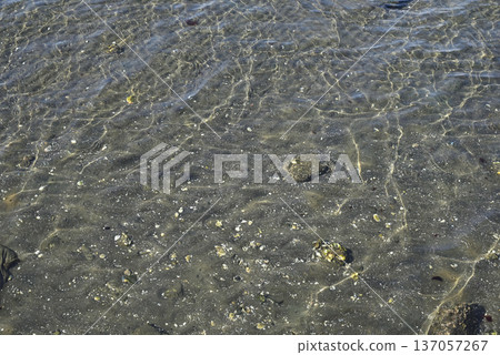 Nagisa Beach Nagisa Beach 137057267