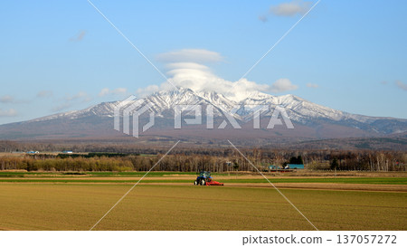 Planting work scene 137057272