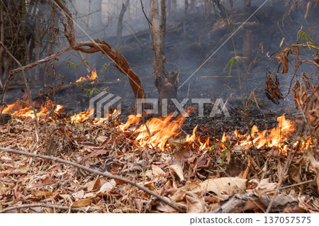 Wildfires release carbon dioxide (CO2) emissions and other greenhouse gases (GHG) that contribute to climate change. Wildfires release carbon dioxide (CO2) emissions and other greenhouse gases (GHG) that contribute to climate change. 137057575