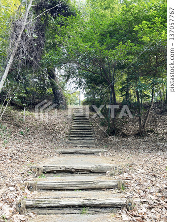stairs in the mountains stairs in the mountains 137057767