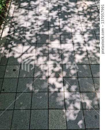 It's a tree shadow on the pavement block. It's a tree shadow on the pavement block. 137057991