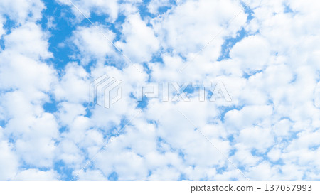 Fluffy white clouds drift across the sky. for nature background in the winter. Fluffy white clouds drift across the sky. for nature background in the winter. 137057993