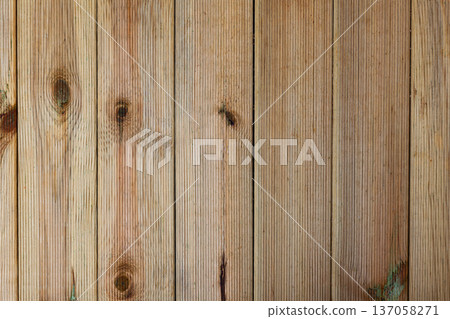 Image of empty natural wooden background, no people Image of empty natural wooden background, no people 137058271