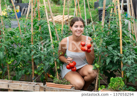 Young positive girl posing with red tomatoes in garden 137058294