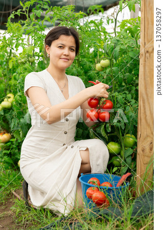 Portrait of young girl with red tomatoes in garden 137058297