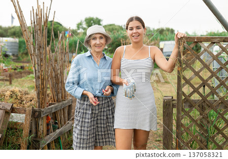 young and mature females at garden young and mature females at garden 137058321