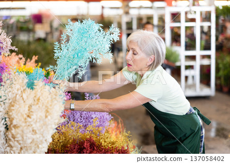 Aged female florist arranging colorful dried Italian ruscus at flower market 137058402