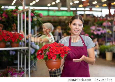 Successful female florist standing in greenhouse among multi-colored flowering plants, offering begonia with red leaf in pot Successful female florist standing in greenhouse among multi-colored flowering plants, offering begonia with red leaf in pot 137058477