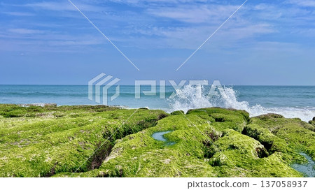 台灣新北市老美綠石潭的海岸風景。碧波蕩漾，藍天白雲，盡收眼底。 137058937