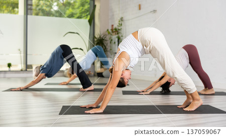 Fitness, sport and healthy lifestyle concept - mature woman doing yoga downward-facing dog pose on mat Fitness, sport and healthy lifestyle concept - mature woman doing yoga downward-facing dog pose on mat 137059067