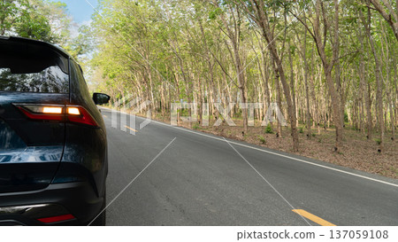 Luxury of car with turn on right signal on the asphalt road. Traveling of car drove along a road lined with numerous rubber tree plantations. Clear and sunny weather. 137059108