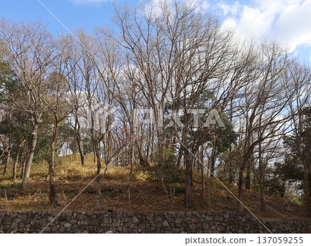 神戶市西區聖心中央公園附近 137059255