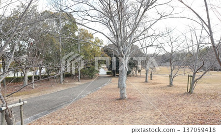 Kobe City, Nishi Ward, Seishin Central, nearby Seishin Central Park Kobe City, Nishi Ward, Seishin Central, nearby Seishin Central Park 137059418