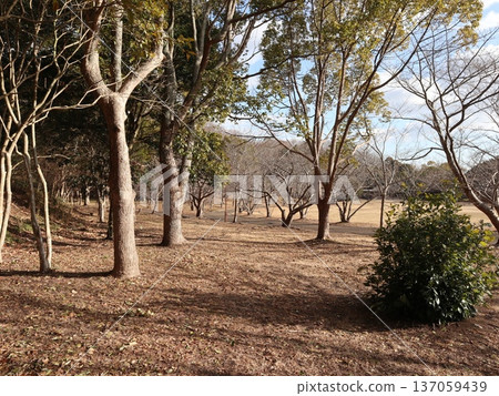 神戶市西區聖心中央公園附近 137059439