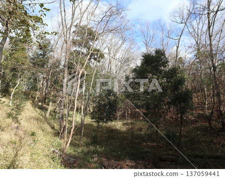 神戶市西區聖心中央公園附近 137059441