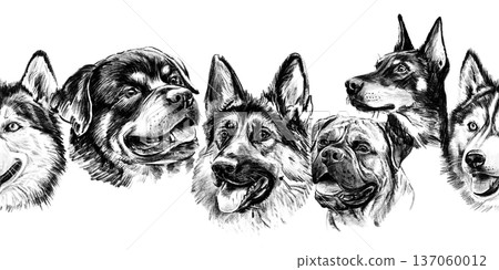 Seamless horizontal border with large dog breed portraits drawn in pencil. Hand drawn black and white rottweiler, german shepherd, husky and pit bull heads form bold repeating trim. High quality Seamless horizontal border with large dog breed portraits drawn in pencil. Hand drawn black and white rottweiler, german shepherd, husky and pit bull heads form bold repeating trim. High quality 137060012
