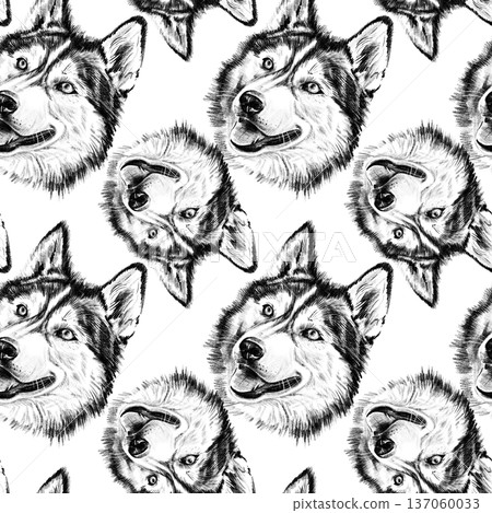 Seamless pattern of hand drawn Siberian Husky dog portraits. Detailed realistic graphite pencil illustration with expressive faces, isolated on white background. Repeat design for textile and print 137060033