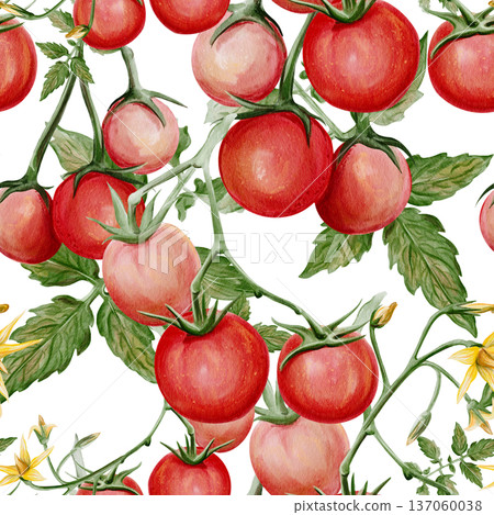 Seamless watercolor pattern with small ripe cherry tomatoes on vine, green leaves and yellow flowers. Hand painted botanical illustration of fresh garden vegetables isolated on light background. High Seamless watercolor pattern with small ripe cherry tomatoes on vine, green leaves and yellow flowers. Hand painted botanical illustration of fresh garden vegetables isolated on light background. High 137060038