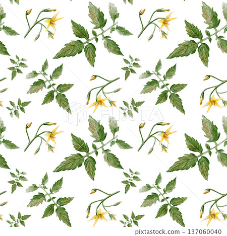 Seamless watercolor pattern with tomato leaves, stems and yellow blossoms. Hand painted botanical illustration isolated on light background, natural garden plant design for textile, print and decor Seamless watercolor pattern with tomato leaves, stems and yellow blossoms. Hand painted botanical illustration isolated on light background, natural garden plant design for textile, print and decor 137060040