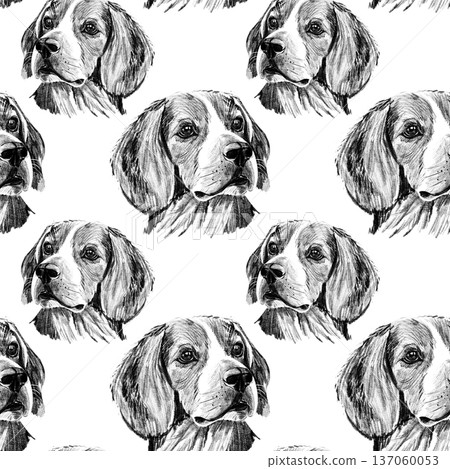 Seamless pattern with hand drawn Beagle dog portraits in pencil style. Black and white repeat design featuring realistic hound faces, ideal for fabric, wallpaper, wrapping paper and pet themed prints 137060053
