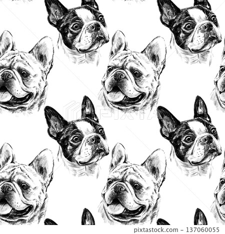 Seamless pattern of hand drawn pencil dog breeds including French Bulldog, Boston Terrier, English Bulldog and Pug. Detailed realistic graphite sketch illustration on white background repeat. Seamless pattern of hand drawn pencil dog breeds including French Bulldog, Boston Terrier, English Bulldog and Pug. Detailed realistic graphite sketch illustration on white background repeat. 137060055