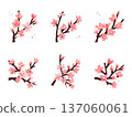 Cherry Blossom Illustration Collection Hand-drawn Stylish Modern Spring Decoration Design Set 137060061