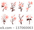 Cherry Blossom Illustration Collection Hand-drawn Stylish Modern Spring Decoration Design Set 137060063