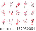 Cherry Blossom Illustration Collection Hand-drawn Stylish Modern Spring Decoration Design Set 137060064