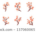 Cherry Blossom Illustration Collection Hand-drawn Stylish Modern Spring Decoration Design Set 137060065