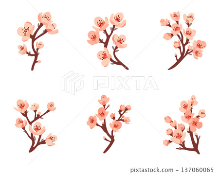 Cherry Blossom Illustration Collection Hand-drawn Stylish Modern Spring Decoration Design Set 137060065