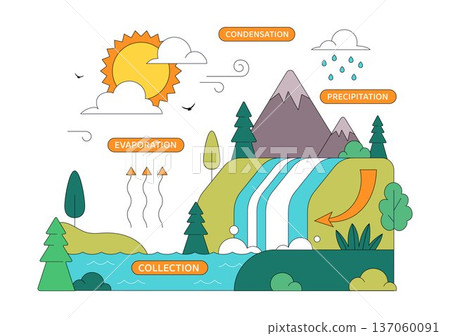 Water Cycle Vector Illustration Featuring Evaporation, Condensation, Precipitation, And Collection In Earth's Natural Environment Background 137060091