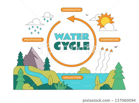 Water Cycle Vector Illustration Featuring Evaporation, Condensation, Precipitation, And Collection In Earth's Natural Environment Background 137060094