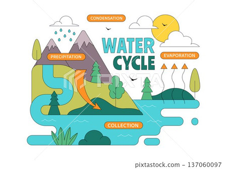 Water Cycle Vector Illustration Featuring Evaporation, Condensation, Precipitation, And Collection In Earth's Natural Environment Background 137060097