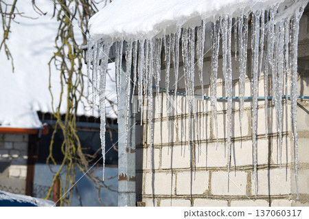 Long icicles hanging from a snow-covered roof edge on a sunny winter day Long icicles hanging from a snow-covered roof edge on a sunny winter day 137060317
